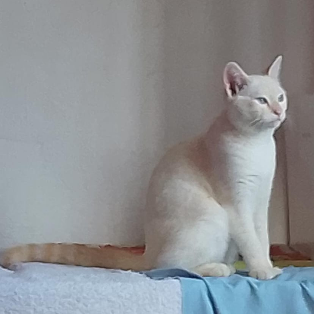 casper2