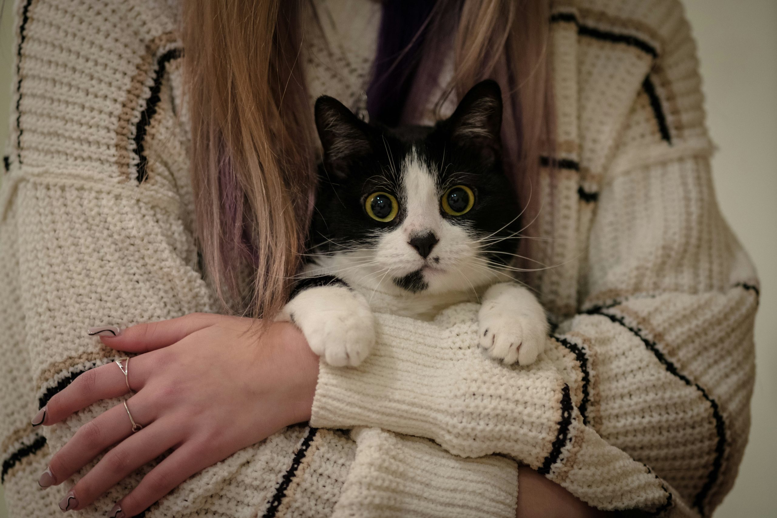 jack plant bjxu3fyrnvg unsplash